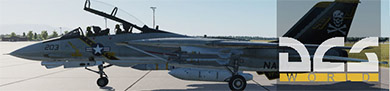 DCS World
